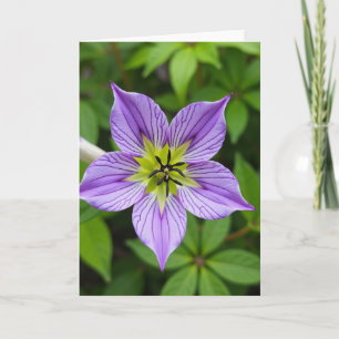 Purple Star Flower Mothers Day Card