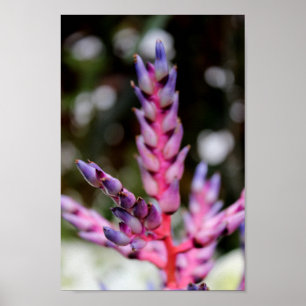 Purple Stemming Flower Poster