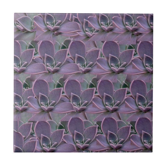 Purple Succulent Ceramic Tile (Front)