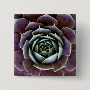 Purple Succulent Close-Up 15 Cm Square Badge