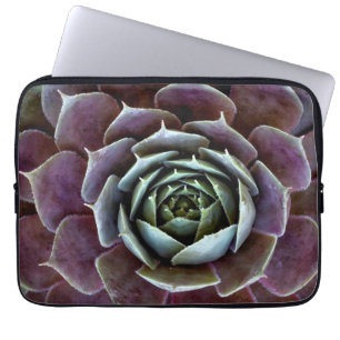 Purple Succulent Close-Up Laptop Sleeve