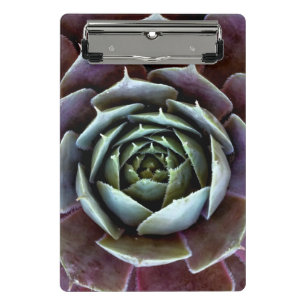 Purple Succulent Close-Up Mini Clipboard