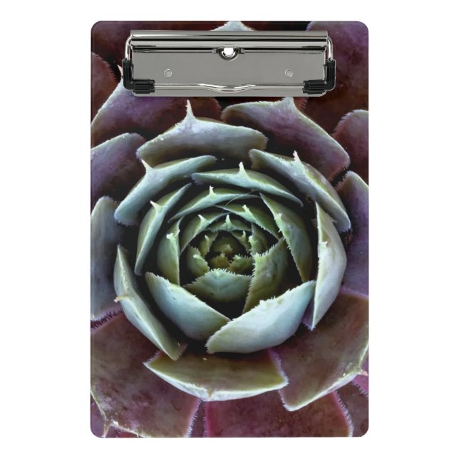 Purple Succulent Close-Up Mini Clipboard (Front)