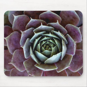 Purple Succulent Close-Up Mouse Pad