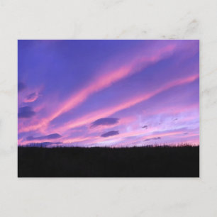 Purple Sunset Lumbar  Holiday Postcard