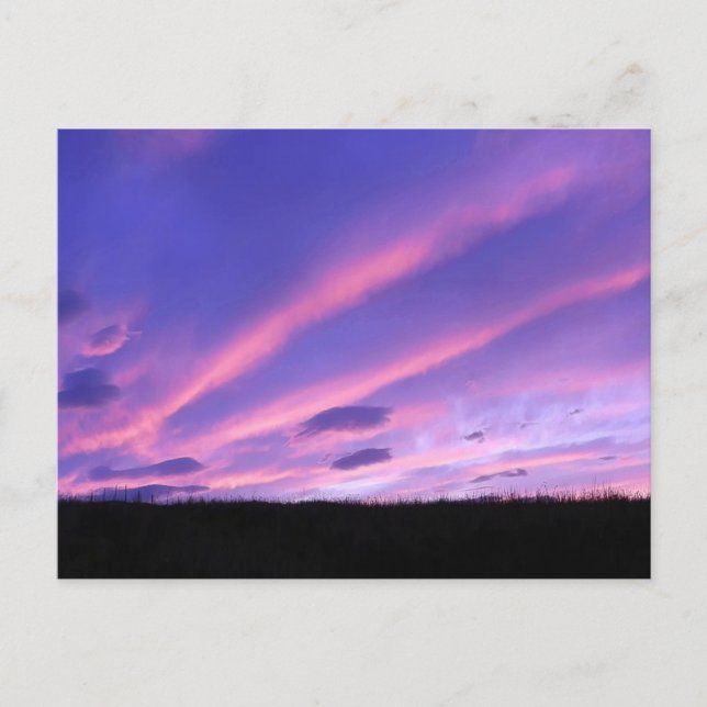 Purple Sunset Postcard (Front)