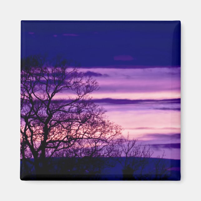 Purple Sunset Tree Silhouette fridge magnet (Front)
