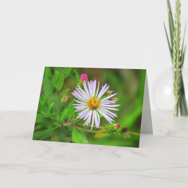 Purple Swamp Flower (5064) Card (Front)
