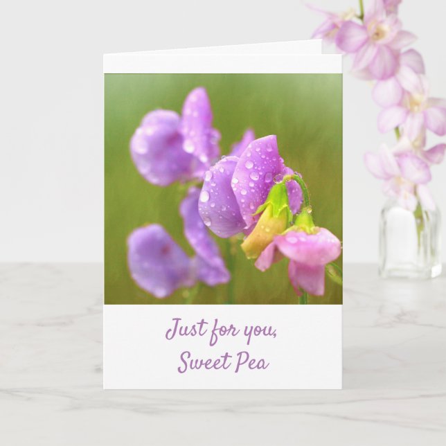 Purple Sweet Pea Get Well Card (Orchid)