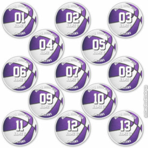 purple team colors gifts 13 basketball stickers