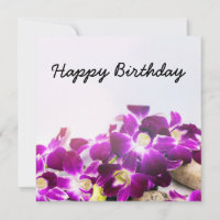 Purple Thai Orchid is on white background birthday