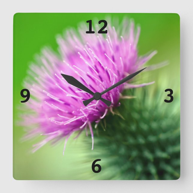 Purple thistle flower Acrylic wall clock (Front)