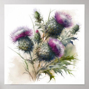 Purple Thistle Flower Art Print Poster