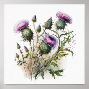 Purple Thistle Flower Art Print Poster
