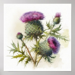 Purple Thistle Flower Art Print Poster