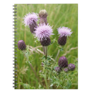 Purple Thistle Notebook