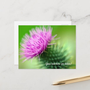 Purple Thistle Postcard