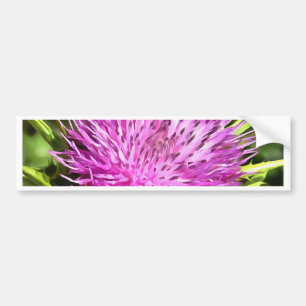 Purple Thistle Wildflower Floral Art Bumper Sticker