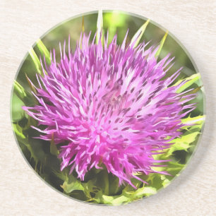 Purple Thistle Wildflower Floral Art Coaster