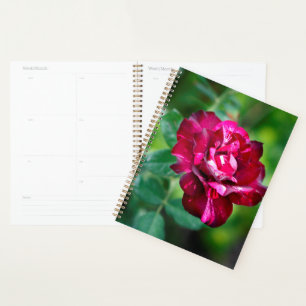 Purple Tiger Rose Planner
