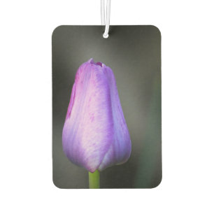 Purple Tulip Bud Car Air Freshener