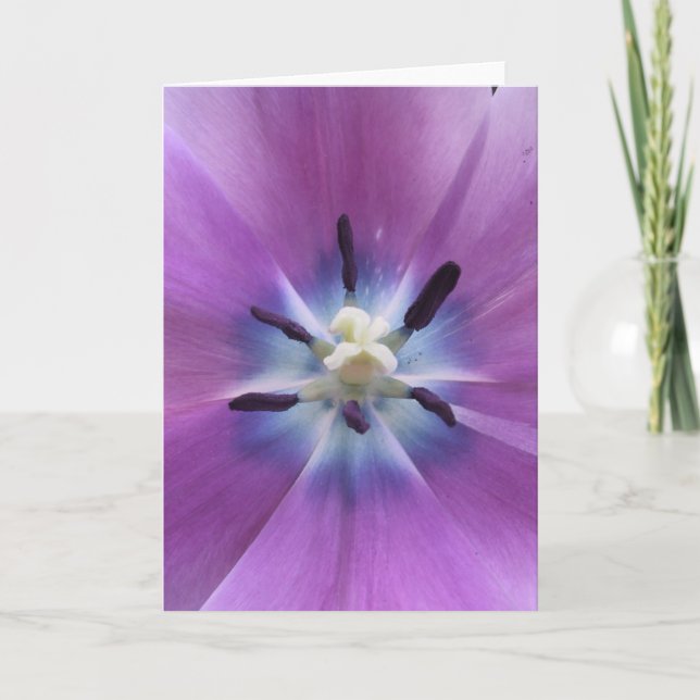 Purple Tulip Card (Front)