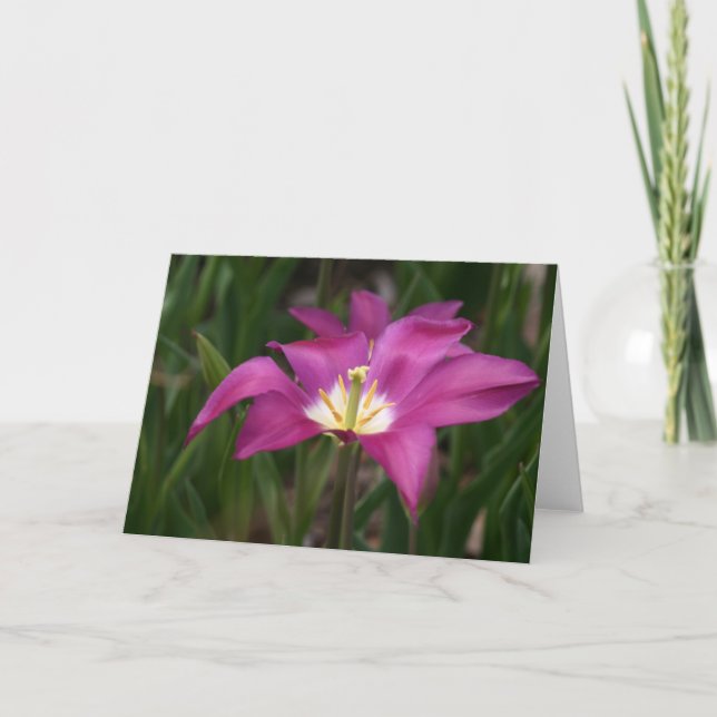 Purple Tulip Card (Front)