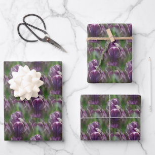 Purple Tulip Flower Nature Pattern   Wrapping Paper Sheet