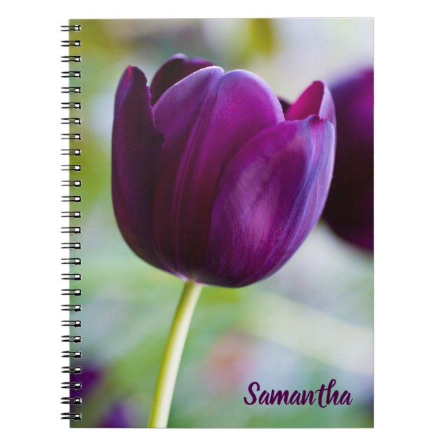 Purple tulip flower Spiral notebook (Front)