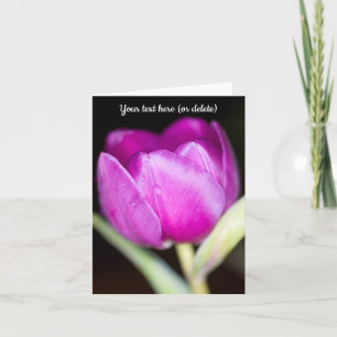 Purple Tulip Greeting card