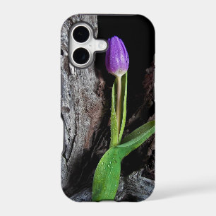 purple tulip on driftwood