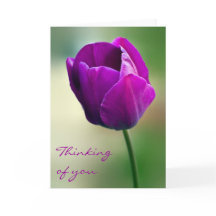 Purple Tulip Thinking of you Card