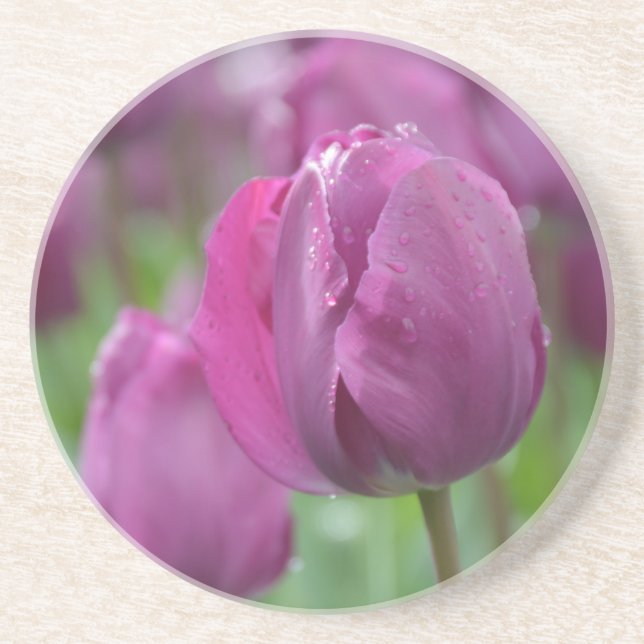 Purple Tulip with water drops Coaster (Front)