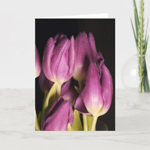 Purple Tulips Card