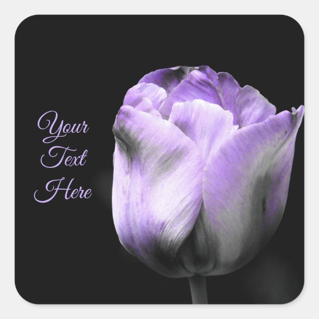 Purple Tulips *Customise* Square Sticker (Front)