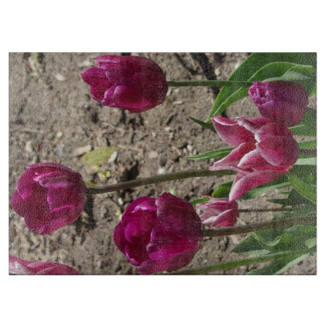 Purple Tulips cutting board (Front)