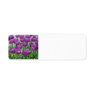purple tulips forever return address label