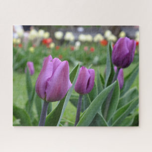 Purple Tulips Jigsaw Puzzle