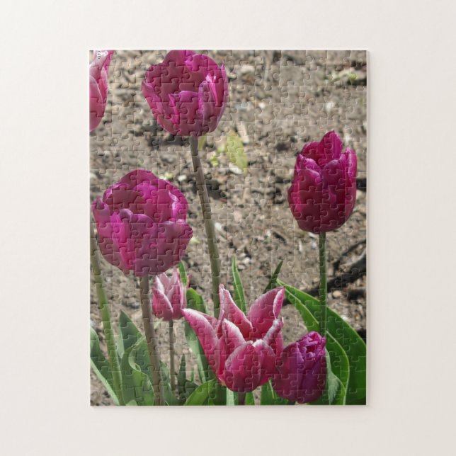 Purple Tulips Jigsaw Puzzle (Vertical)