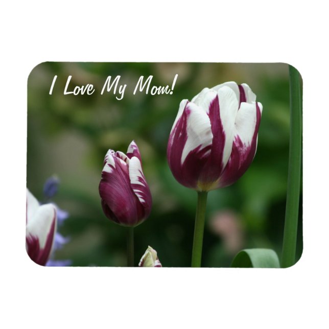 Purple Tulips Mum Magnet (Horizontal)