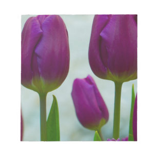 Purple Tulips Note Pad