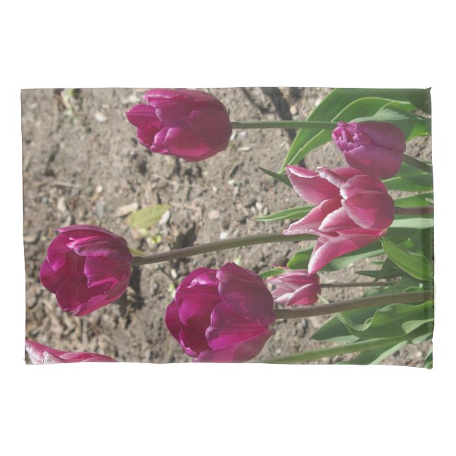 Purple Tulips pillow case (Front)