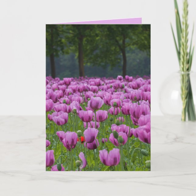 PURPLE TULIPS SYMPATHY CONDOLENCES CARDS (Front)