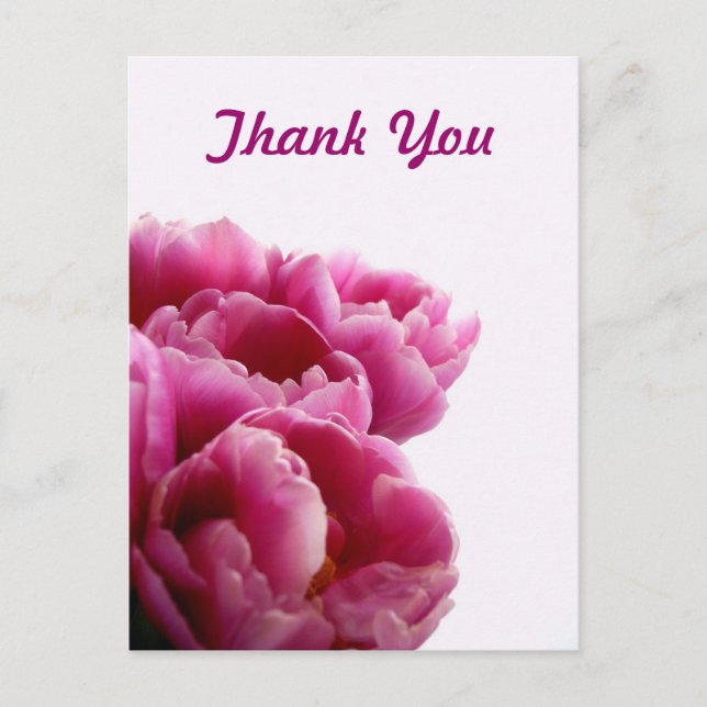Purple Tulips Thank You Postcards (Front)