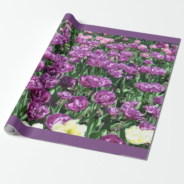 Purple Tulips Wrapping Paper (Unrolled)