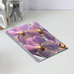 Purple Vanda Orchids Floral Notebook