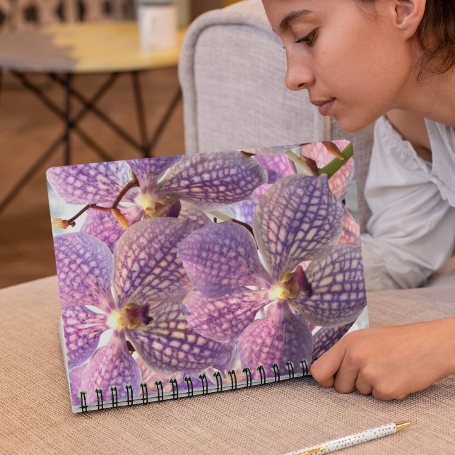 Purple Vanda Orchids Floral Notebook (In Situ)