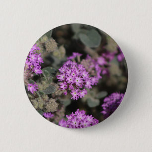 Purple Verbena Coachella Valley Wildlife Preserve 6 Cm Round Badge
