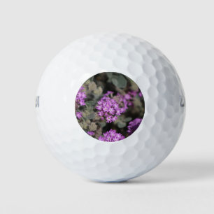 Purple Verbena Coachella Valley Wildlife Preserve  Golf Balls