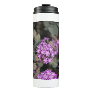 Purple Verbena Coachella Valley Wildlife Preserve Thermal Tumbler
